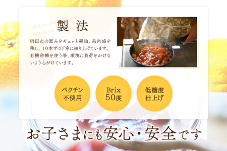 【先行予約】浜田市の季節の旬の果物を使ったクラフトジャムセット【限定】（いちじく・なし・ネーブルオレンジ） 加工品 果物 フルーツ ジャム ギフト 自家製 国産 有機砂糖 いちじく なし ネーブルオレ