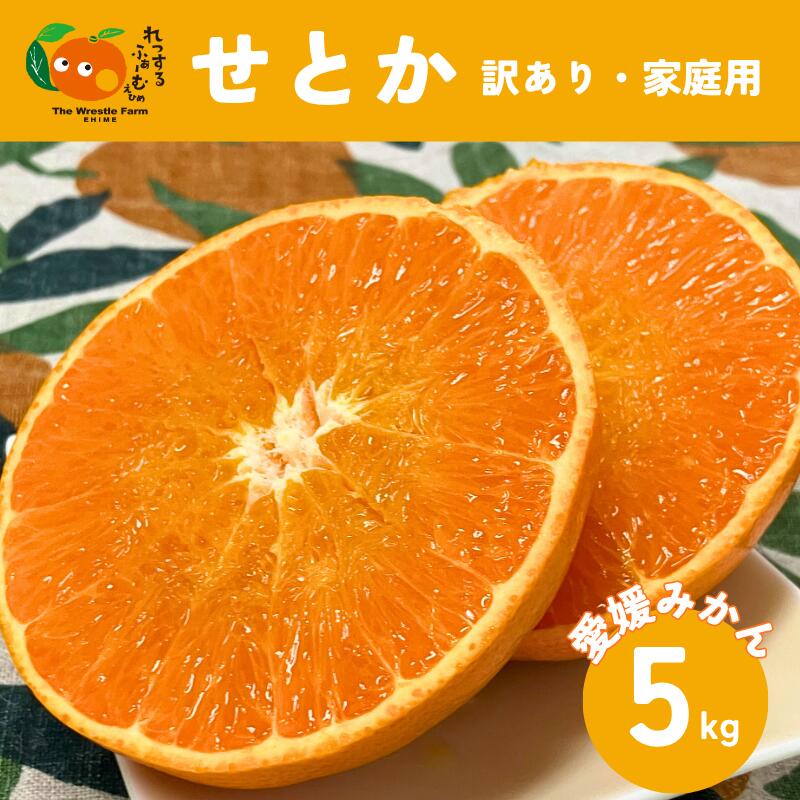 【ふるさと納税】せとか（施設・露地）5kg ご家庭用 訳あり レッスルファーム みかん 愛媛【2026年1月下旬順次発送】先行予約 数量限定 おすすめ 美味しい おいしい グルメ フルーツ くだもの 愛媛県産 人気 柑橘 伊予市｜B420