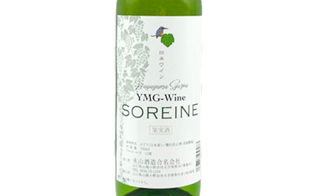 ソレイネ 赤白セット 720ml 各3本 ワイン 永山酒造 アルコール 酒 F6L-1382