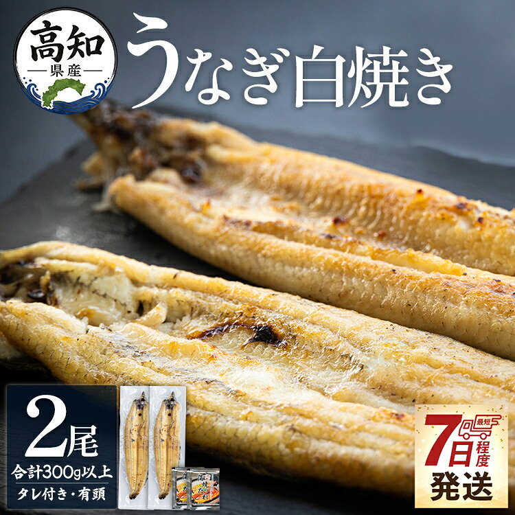 【ふるさと納税】【7日程度で発送】高知県産うなぎの白焼き 2尾 合計300g以上（1尾150〜180g）タレ付き エコ包装 - お中元 父の日 鰻 ウナギ ギフト 有頭 人気 簡易包装 unagi 家庭用 老舗 国産 土佐湾 特大 個包装 真空パック 美味しい 吉川水産 高知県 香南市【冷凍】