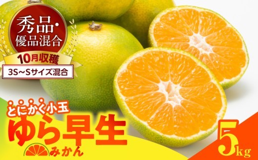 
                  【2026年先行予約】ゆら早生 みかん とにかく小玉 箱込 5kg ( 内容量4.4kg ) 3S～Sサイズ 秀優混合 有田みかん 和歌山県産_MK1060
                