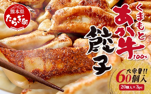【年末発送】 くまもとあか牛 100％ 餃子 計60個（20個×3パック） 冷凍 熊本県産 あか牛 ぎょうざ ギョーザ 惣菜 おかず 和牛 牛肉 赤身 お手軽  年内発送 年内配送 年末年始