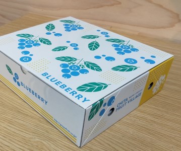【2027年先行予約】採れたて！大粒 生ブルーベリー 400g (100g×4) ※2027年5月上旬〜7月下旬頃に順次発送