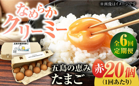 【6回定期便】【ギフトBOX】五島の恵みたまご M-Lサイズ 20個入 / 卵 赤玉子 五島市 / 五島列島大石養鶏場[PFQ012]  玉子 タマゴ 鶏卵 希少 五島列島