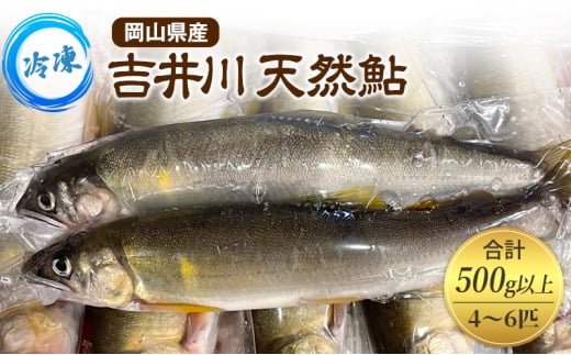 天然鮎 4～6匹 合計500g以上 【8月上旬～9月下旬 発送予定】 冷凍 個包装 鮎 アユ あゆ 魚 川魚 岡山県産 吉井川