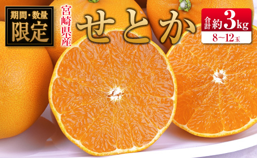 ＜2027年発送＞宮崎県産 せとか 約3kg （8～12玉入）