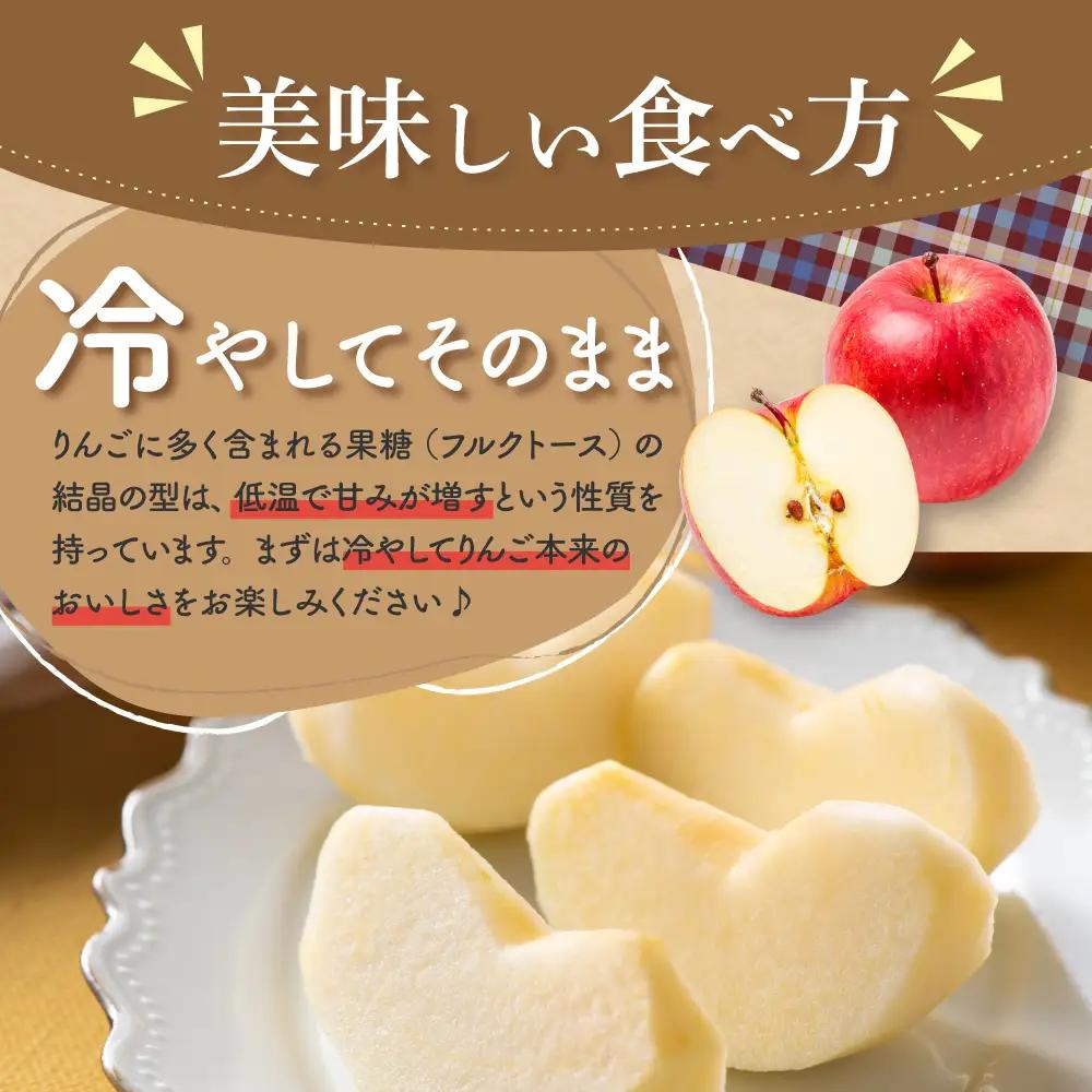 【2026年11月中旬発送】【訳あり】りんご 約3kg  1品種おまかせ 青森産 りんご