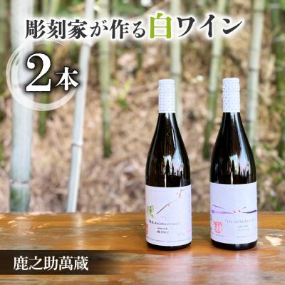 ふるさと納税 東御市 【鹿之助萬蔵】彫刻家がつくる白ワイン2種飲み比べ(2本)