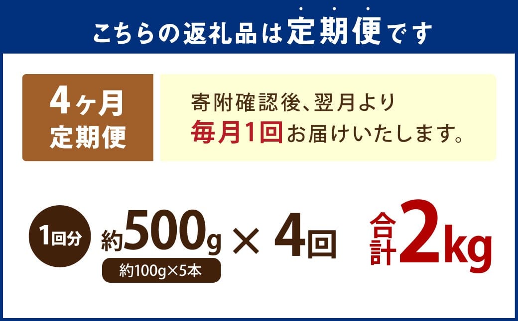 【4ヶ月定期便】 九重夢ポーク串 約500g（約100g×5本）×4回 計約2kg