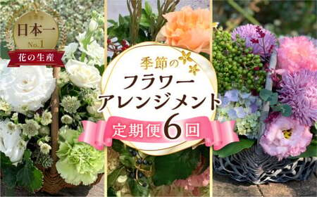 【定期便】 6回 季節のフラワーアレンジメント定期便 かご付 生花