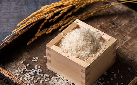 青森県産　青天の霹靂(一等米)白米10kg【配送不可地域：離島・沖縄県】【1250841】