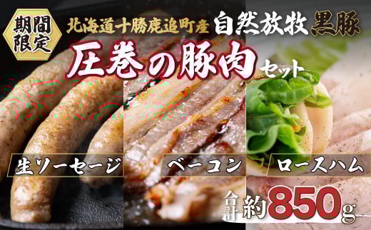 
                  鹿追産 自然放牧黒豚 圧巻の豚肉（おすすめ加工品つめあわせセット） 【 ふるさと納税 人気 おすすめ ランキング 黒豚豚豚肉黒豚肉黒豚生ソーセージ黒豚ベーコン黒豚ロースハム北海道 鹿追町 送料無料 】 SKN009
                