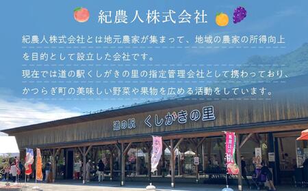 先行予約 富有柿 秀品8個入り こだわり農家厳選【2025年10月末頃から11月下旬頃順次発送】【KG25】