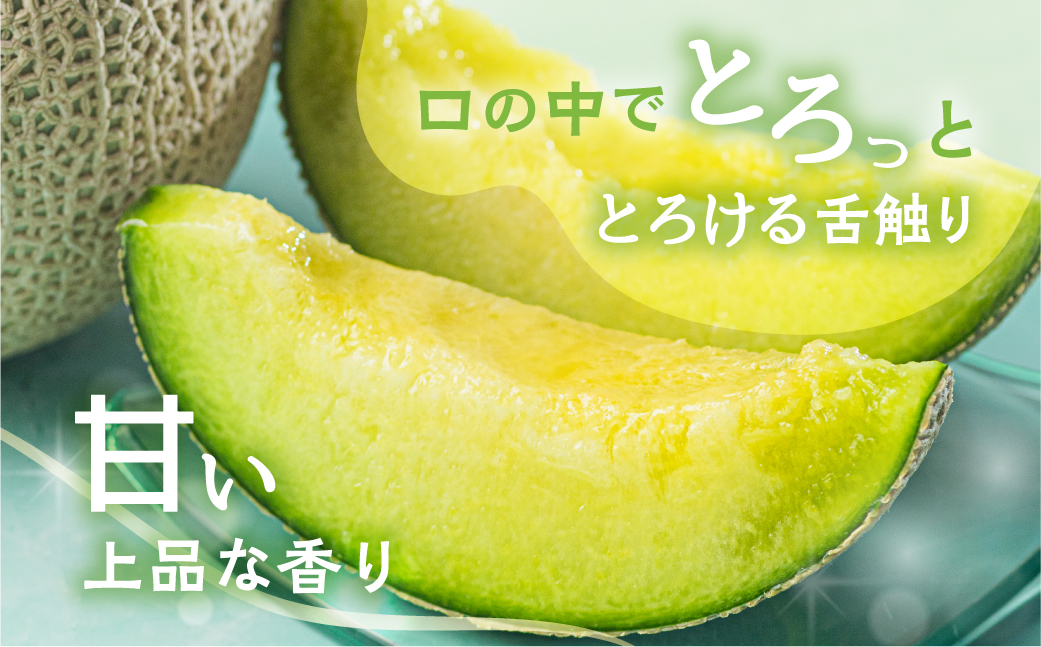 【定期便】先行予約 マスクメロン 4回お届け  伊良湖産 2玉 2025年6月スタート  マルカ農園
