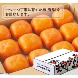 【R6年10月以降発送】刀根早生柿発祥の地・ひらたねなし柿約2.5kg(10～15玉入り)【配送不可地域：離島】