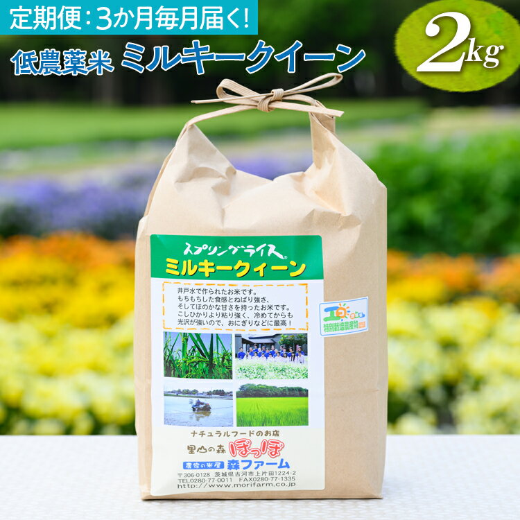 【ふるさと納税】【定期便】3か月毎月届く！低農薬米ミルキークイーン2kg｜米 コメ こめ ごはん ご飯 ゴハン 白飯 スプリング ライス ミルキー クイーン 水へのこだわり 地下水 2kg 贈答 白米 精米 低農薬 定期便 3ヶ月 三カ月 3回_BI97