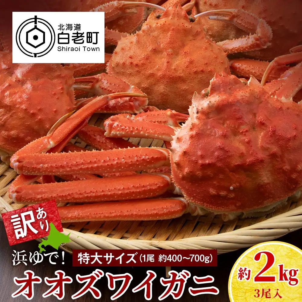 【7営業日以内発送】訳あり オオズワイガニオス 特大サイズ (約400-700g) 浜ゆで 2kg (3尾入)AS225