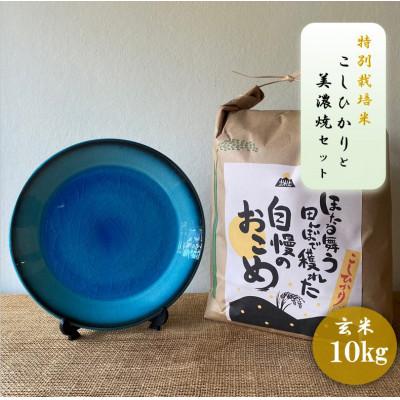 ふるさと納税 多治見市 【令和7年産:玄米】特別栽培米コシヒカリ(10kg)+【美濃焼】青輝貫入7寸皿
