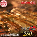 【ふるさと納税】手焼き 三河一色産 1年うなぎ 蒲焼2尾（約280g）A140-17 【発送期間：2025年1月下旬まで】/ 添加物不使用 国産 三河産 無頭 愛知県産 鰻 タレ付き たれセット さんしょう 三河味醂使用のたれ 【冷蔵便】MB