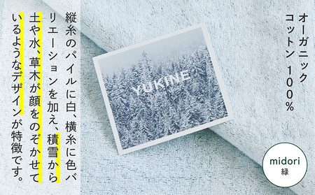 SHINTO TOWEL「ユキネ・ミニバスタオル」midori（緑）2枚セット オーガニックコットン100%