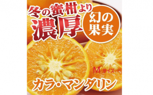 【先行予約】石本果樹園の美味しいカラ・マンダリン 約4kg入り(20～25玉)【2023年4月中旬から5月中旬までに順次発送】 / みかん フルーツ くだもの 果物 先行予約 カラマンダリン