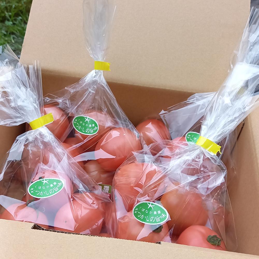 トマト 2kg 麗月 産地直送 野菜  新鮮 サラダ 赤熟 くぼなか農園 愛媛 伊予市 | A66