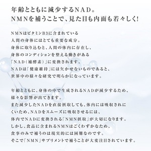 0030-105-01 NMN サプリメント 20000mg 日本製 国内製造 GABA ボタンボウフウ 5-ALA 核酸 ビタミンE ビタミンC クエン酸 鉄 Na 葉酸 daina NMN+ 90