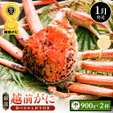 【ふるさと納税】≪浜茹で≫越前がに 中サイズ × 1杯（生で900g以上）× 2杯 合計1.8kg以上 食べ方しおり付【雄 ズワイガニ ずわいがに 越前ガニ 姿 ボイル 冷蔵 福井県】【1月発送分】希望日指定可 備考欄に希望日をご記入ください [e14-x016_01]