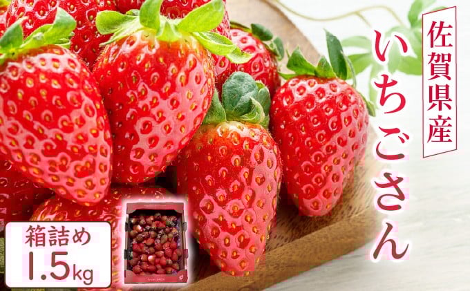 
                  佐賀県産 いちごさんバラ詰め1.5kg
                