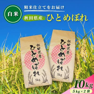 ふるさと納税 由利本荘市 【毎月定期便】【白米】通算5回特A 秋田県産ひとめぼれ 10kg(5kg×2袋)全3回
