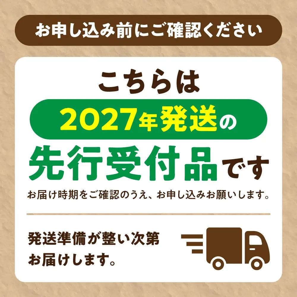 【2027年度産先行受付】当別町産べんけべつのいちご（けんたろう）4パック｜イチゴ いちご べんけべつのいちご 道産子イチゴ