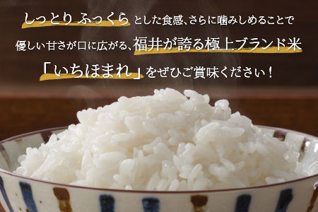  【令和5年産】いちほまれ 精米 10kg 《ギフトにもおすすめ！化粧箱入り》／ 福井県産 ブランド米 白米 贈り物 お取り寄せ