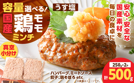 国産 鶏 モモ ミンチ ＜ うす塩 ＞  計 500g K025-016_01 鶏肉 とり とりにく 肉 お肉 鶏ミンチ 真空 小分け パック 真空パック 便利 使いやすい 鮮度 そぼろ丼 美味しい 