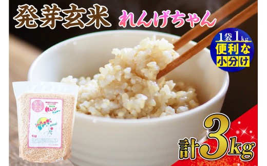 発芽玄米 れんげちゃん コシヒカリ 3kg｜発芽玄米 コシヒカリ 玄米 れんげちゃん 3kg もちもち 甘み 栄養 ごはん 炊き方 白米ミックス 食べやすい 主食 お取り寄せ 米  送料無料 愛知県 阿久比町