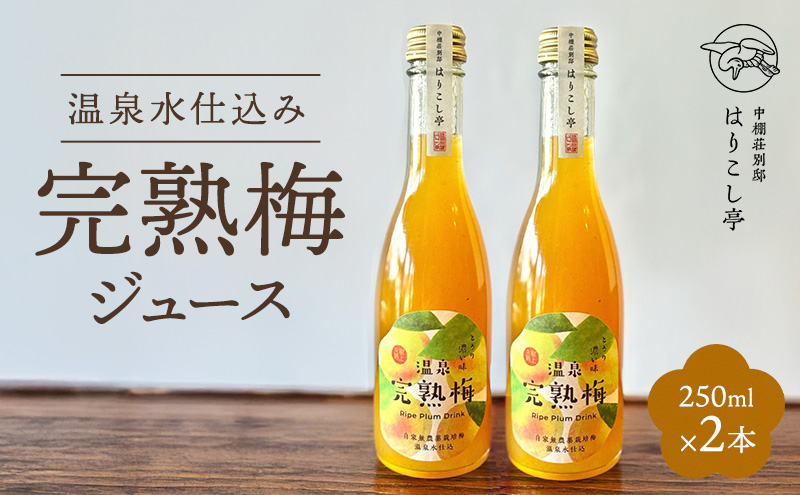 梅ジュース　250ml×2本　中棚温泉　長野　信州　小諸