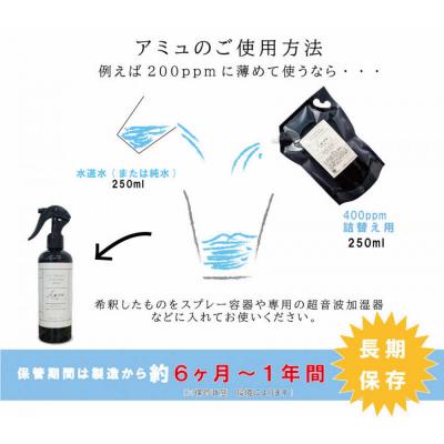 ふるさと納税 出雲市 電解次亜塩素酸水　400ppm　【2.5L   2個セット】　除菌・消臭 |  | 03