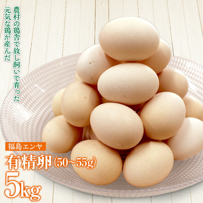 【ふるさと納税】玉川村産 有精卵50〜55g 90玉（割れ保証10玉含む）栄養満点 タマゴ 玉子 エッグ 国産 オムレツ TKG 温泉卵 ゆでたまご FT18-221