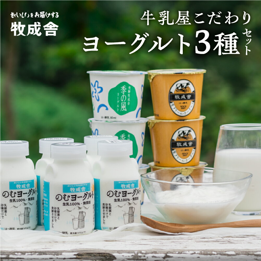 飛騨 牧成舎 ヨーグルト 3種 11個 セット 食べ比べ ギフト まとめ買い 牧成舎 冷蔵 冷蔵保存 さっぱり ヘルシー 生クリーム 濃厚 生乳 プレゼント 日時指定 時間指定 乳製品[Q1057w] 《hida0307》