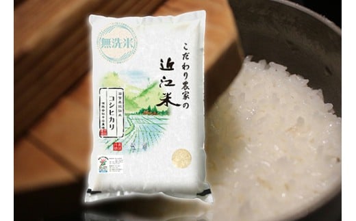 【7年産】近江米 環境こだわり栽培 コシヒカリ 無洗米【5kg×1】【BN14W】 5kg 米 こしひかり コシヒカリ おこめ 贈り物 人気米 ご飯 白米 コメ 贈答 滋賀県 近江八幡市 無洗米