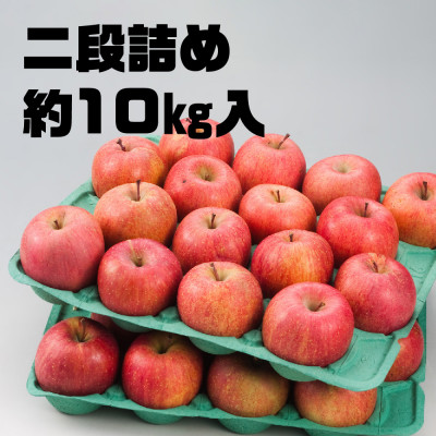 今年も約10kgお届けします!　訳ありりんご「サンふじ」24〜46個入【R7年12月中旬〜発送開始】【配送不可地域：離島・沖縄県】【1333055】