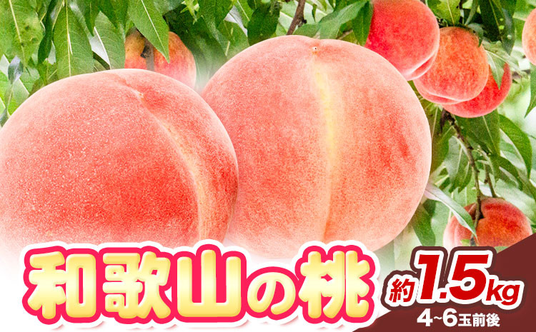 
            桃 2025年先行予約【産直・人気の特産品】和歌山の桃 約1.5kg 厳選館《2025年6月中旬-8月中旬より出荷》和歌山県 日高川町 果物 フルーツ 桃 もも 送料無料【配送不可地域あり】
          