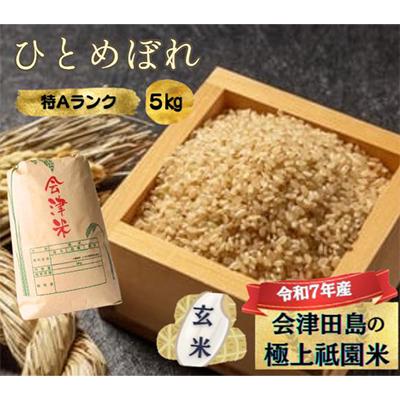 ふるさと納税 南会津町 【令和7年産会津田島の極上祇園米】ひとめぼれ(玄米) 5kg