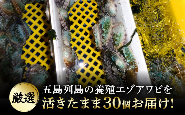 【小ぶりで料理に使いやすい！】 上五島産 養殖 ひとくち アワビ 厳選 30個【豊建設株式会社】 [RAE002]