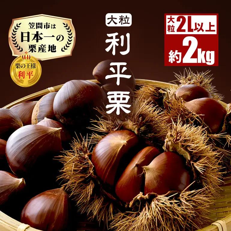 生栗 2kg 栗 2L以上 AH-006