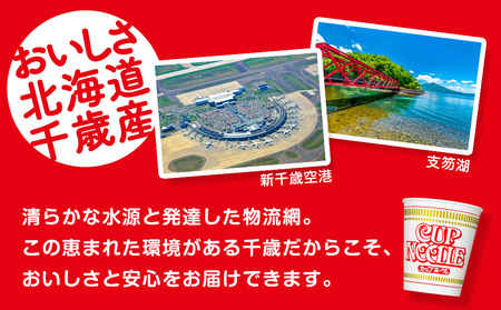 10営業日以内発送 日清★カップヌードル★ 2箱 合計40食