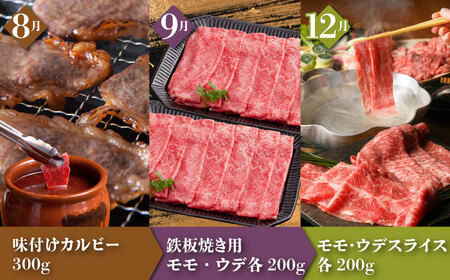 【全12回】季節の佐賀牛定期便（2人前） HAA072 牛肉定期便