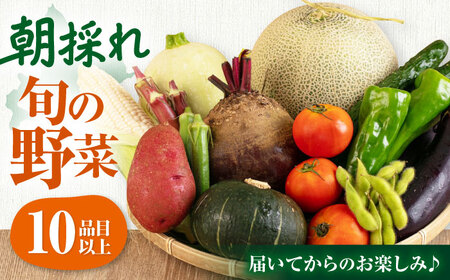 【2026年10月上旬以降順次発送】朝採れ 旬の野菜 10品目 野菜 先行予約 北海道 産地直送 旬 詰合せ [AJAH033]