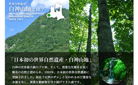 【年4回定期便】天然水 350ml × 24本 白神山地 ミネラルウォーター 軟水 天然水