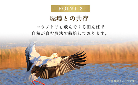 高本さんちのコシヒカリ【特別栽培米】5kg AS2BB24