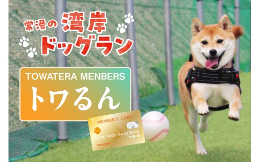 
                  【TOWATERAメンバーズ】ドッグラン、ペットホテルなどをお得に利用できる「トワるん」会員入会｜犬 ペット おでかけ 知多半島 伊勢湾 オーシャンビュー 海沿い 観光 体験チケット プール トリミング イベント ペットホテル 犬用ホテル カフェ ペット同伴 犬連れ ドッグラン 愛犬 大型犬 中型犬 小型犬 dog 利用券 体験券 広い 屋内 屋外 雨の日 会員権 愛知県 常滑市
                